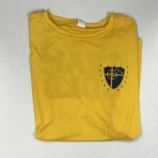 https://spiritwear.cvillecatholic.org/wp-content/uploads/2021/10/Sport-Tek-Team-Gold-Short-Sleeve-Shirt-scaled-324x324.jpg
